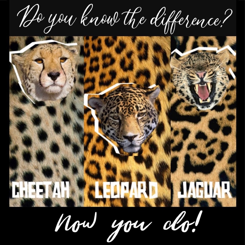 Do you know the difference?